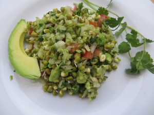 Mung Sprout salad with Avocado